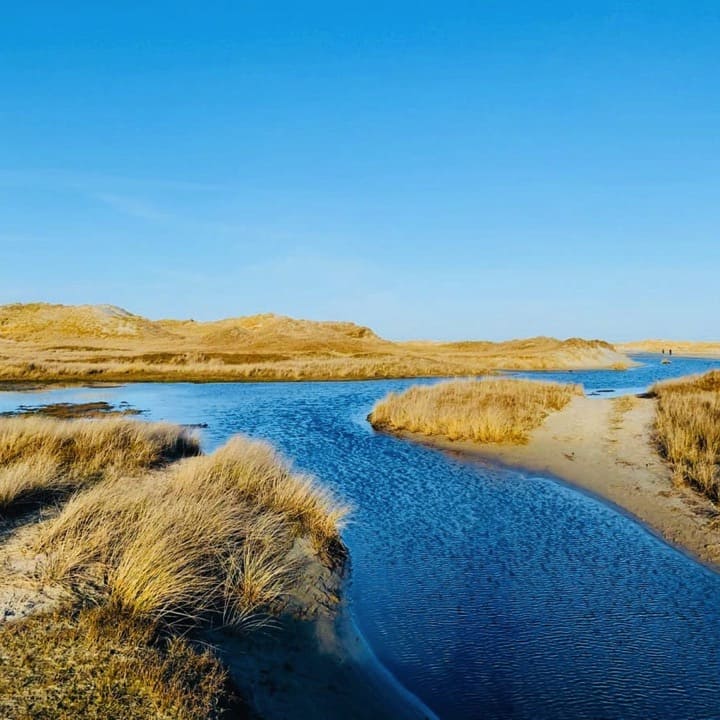 Yoga - Wochenende auf Norderney